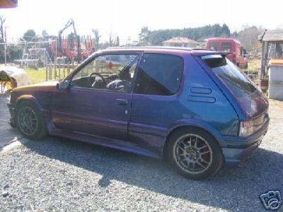 205 gti Cameleon